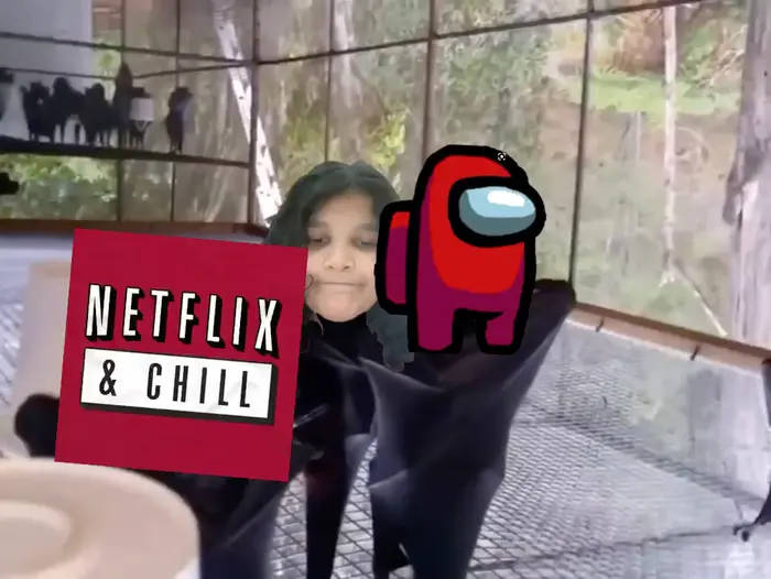 Hanging bats filmed upside-down look like a Goth nightclub meme | Bats | image tagged in memes | made with Piñata Farms meme generator