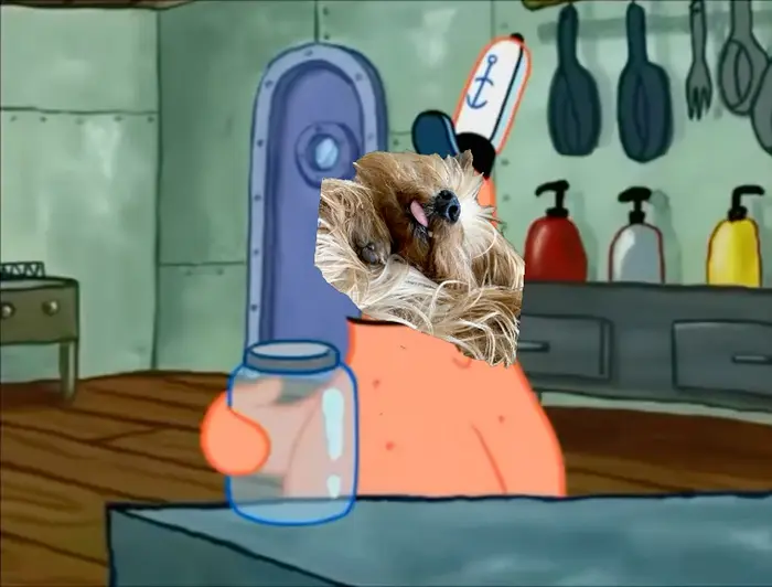 The Lid and Patrick meme | image tagged in memes | made with Piñata Farms meme generator