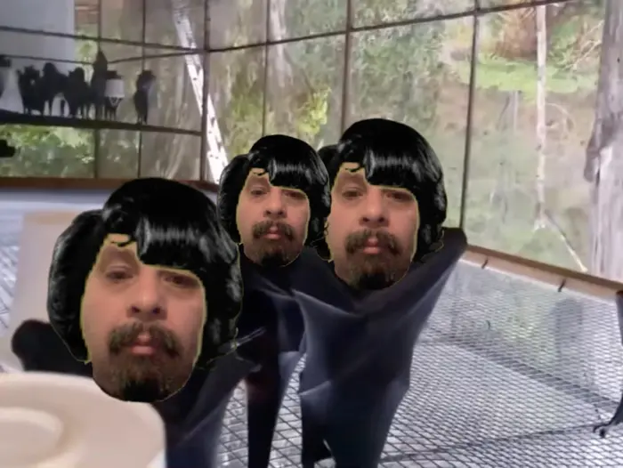 Hanging bats filmed upside-down look like a Goth nightclub meme | image tagged in memes | made with Piñata Farms meme generator