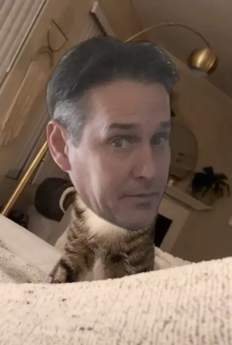 what is going on inside your head meme | image tagged in memes | made with Piñata Farms meme generator