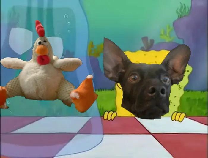 Piñata thumbnail image