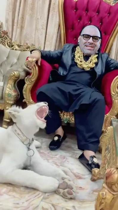 Piñata thumbnail image