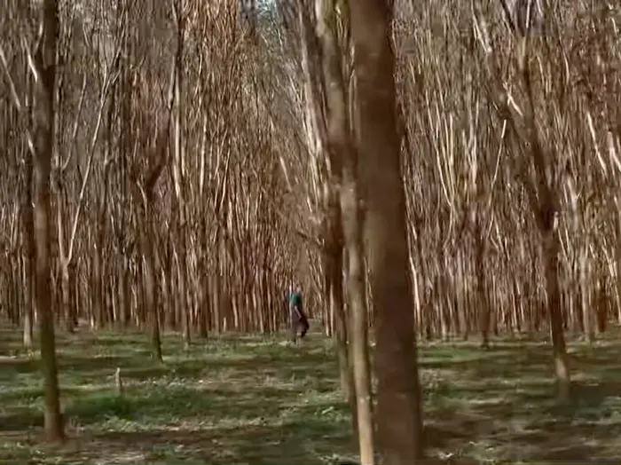 Johnny Cage vs Scorpion | Mortal Kombat meme | image tagged in memes | made with Piñata Farms meme generator