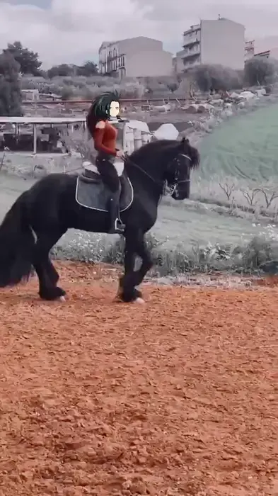 girl riding a horse meme | Momo riding a horse at her parents country club. | image tagged in memes | made with Piñata Farms meme generator