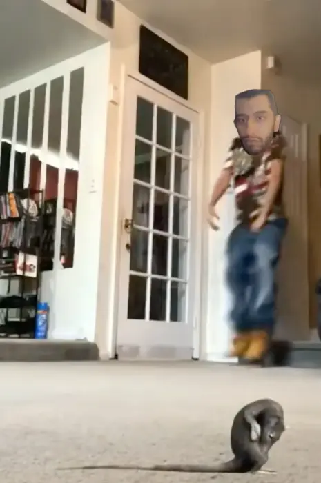 Oh shit a rat meme | Me and The Rat | image tagged in memes | made with Piñata Farms meme generator