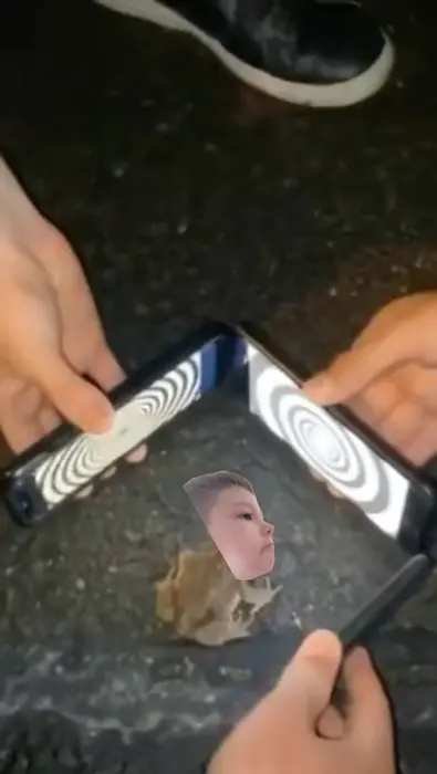 mesmerizing frog meme | image tagged in memes | made with Piñata Farms meme generator