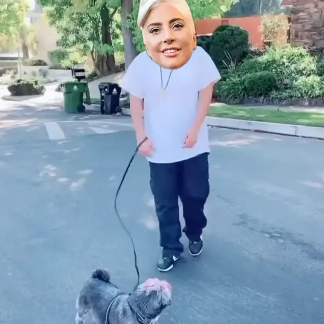 doggface208 walking dog dance meme | LADY GAGA AFTER BURYING HER DOG WALKER #dog #ladygaga #dogs #dogface #breakingnews | image tagged in memes: breakingnews, dog, dogface, dogs, ladygaga | made with Piñata Farms meme generator
