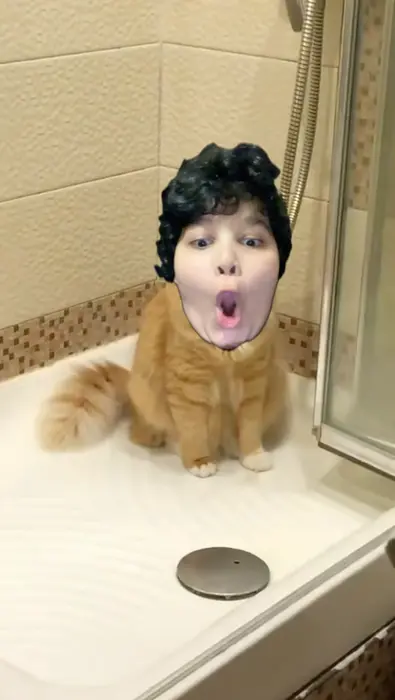 A cat looks at the one point in the shower meme | image tagged in memes | made with Piñata Farms meme generator