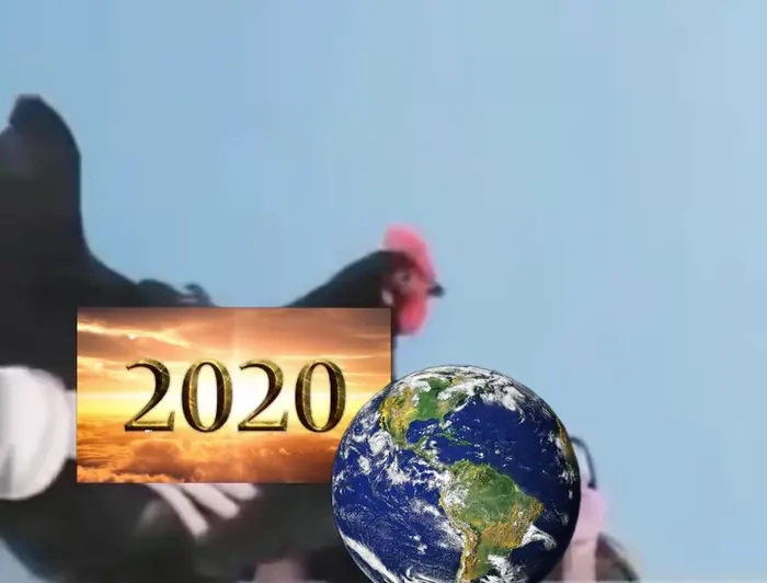 Piñata thumbnail image