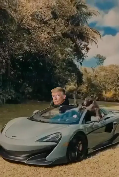 two monkeys driving a Lamborghini meme | image tagged in memes | made with Piñata Farms meme generator