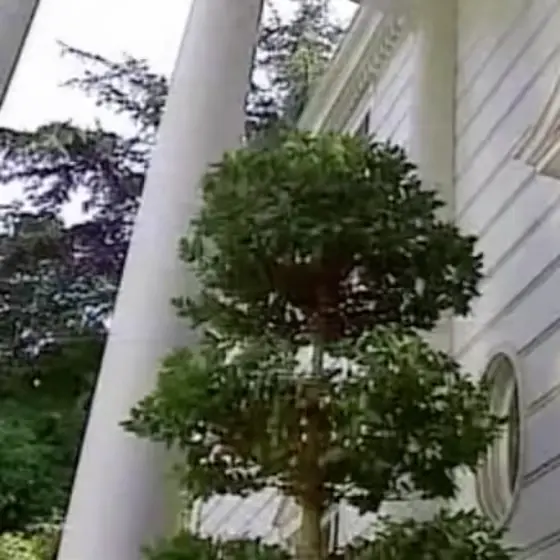 Jazz gets thrown out meme | image tagged in memes | made with Piñata Farms meme generator