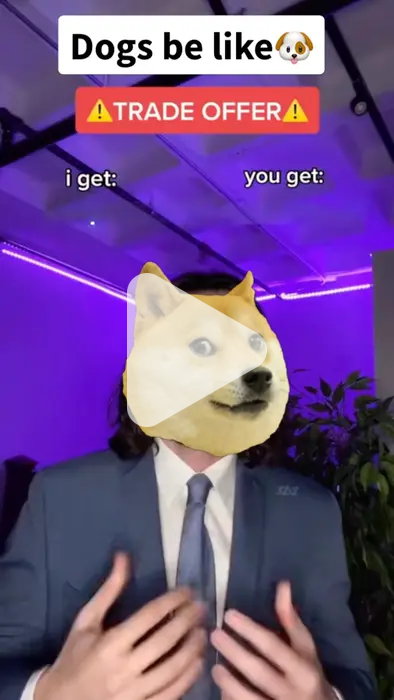 Works every time #lol #funny #dog #doge #tradeoffer video meme - Piñata ...