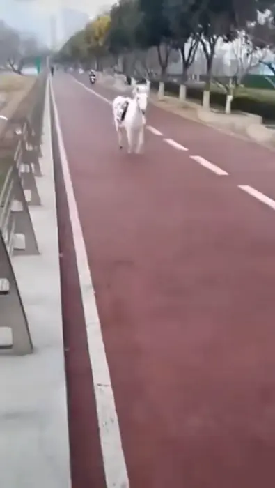 Block or charge meme | image tagged in memes | made with Piñata Farms meme generator