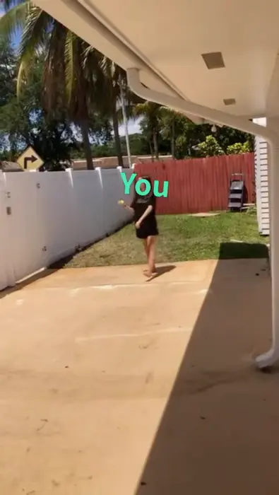 Girl throws a ball over the fence and gets a computer meme | Woman in Memphis be like | image tagged in memes | made with Piñata Farms meme generator