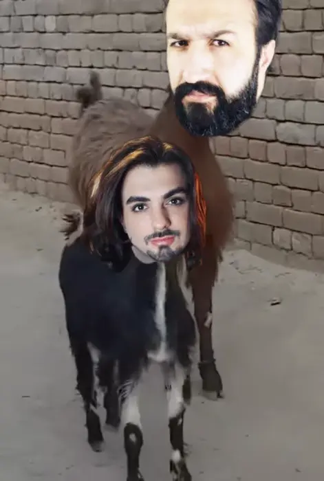 Couple of GOATS meme | image tagged in memes | made with Piñata Farms meme generator