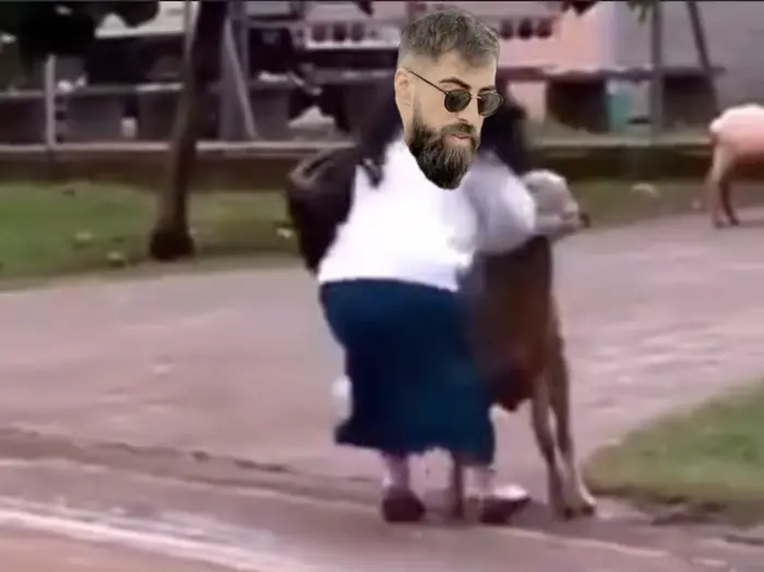 Fight with a ram meme | image tagged in memes | made with Piñata Farms meme generator