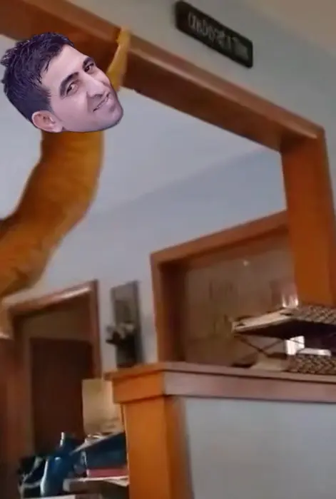 red cat hanging on the door meme | image tagged in memes | made with Piñata Farms meme generator