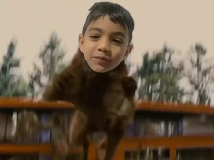 Piñata thumbnail image