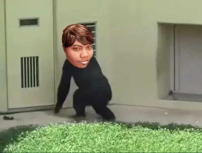 Monkeys are dancing to Bamboléo meme | image tagged in memes | made with Piñata Farms meme generator