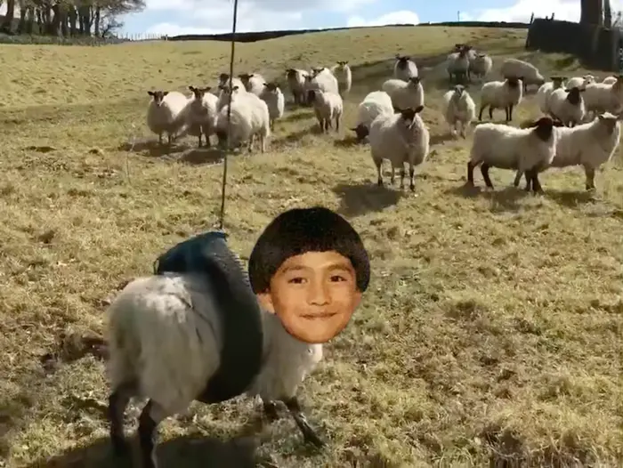 Piñata thumbnail image