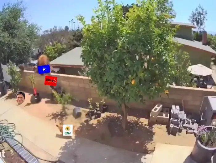 Piñata thumbnail image