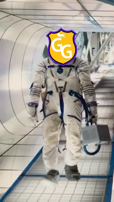 Elon Musk - Good luck Machete. Get the bastard meme | Just bought 1.5k shares of $RIOT before close for an overnight swing | image tagged in memes | made with Piñata Farms meme generator