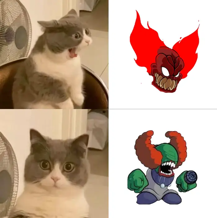 shocked Cat meme | #fnf #tricky #cat | image tagged in memes: cat, fnf, tricky | made with Piñata Farms meme generator