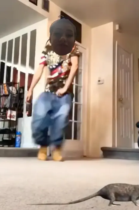 Oh shit a rat meme | image tagged in memes | made with Piñata Farms meme generator