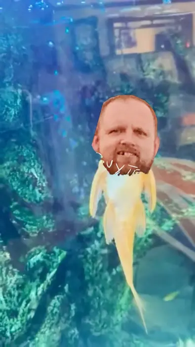 fish sings an opera meme | image tagged in memes | made with Piñata Farms meme generator