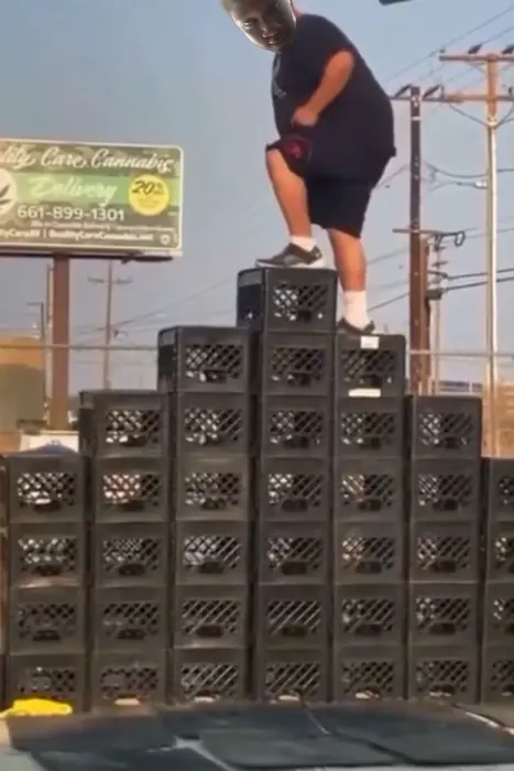 Piñata thumbnail image