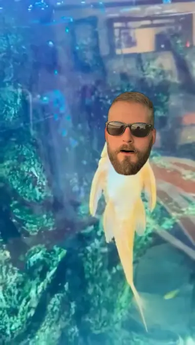 fish sings an opera meme | image tagged in memes | made with Piñata Farms meme generator