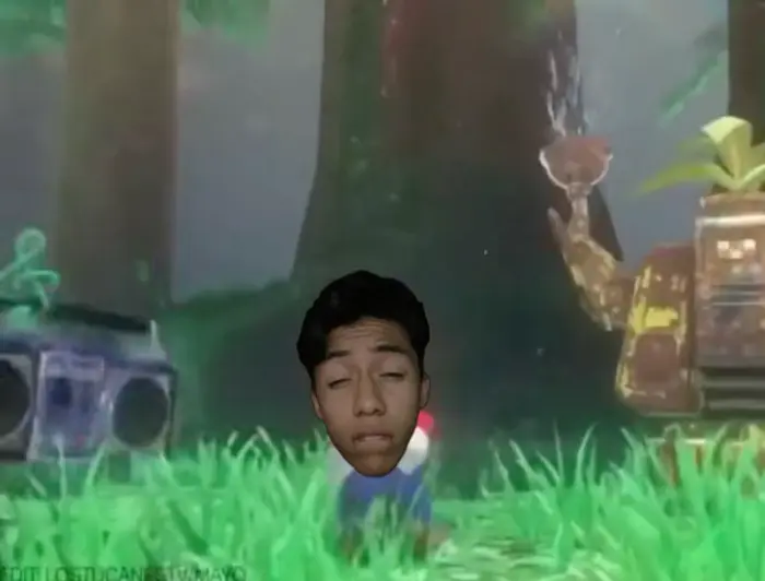 Piñata thumbnail image