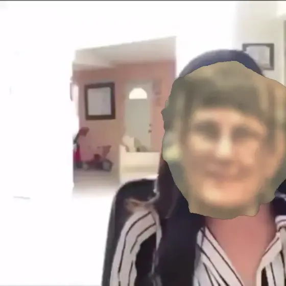 Work from home meme | image tagged in memes | made with Piñata Farms meme generator