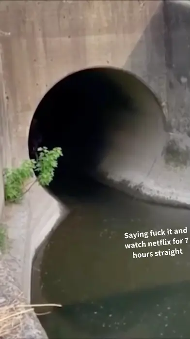 diving on bicycle meme | It be like that sometimes | image tagged in memes | made with Piñata Farms meme generator