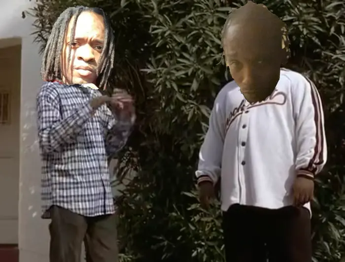 Piñata thumbnail image