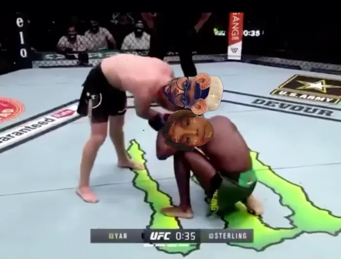 Knee knockout. UFC meme | image tagged in memes | made with Piñata Farms meme generator