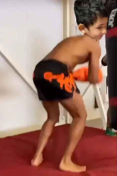 Piñata thumbnail image