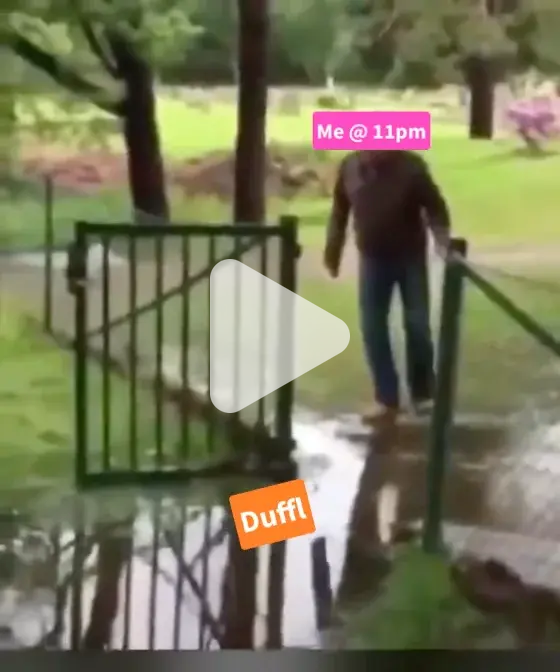 Duffl UCLA 4 lyfe video meme Piñata Farms The best meme generator and meme maker for video