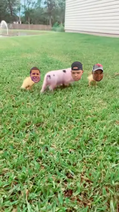 Piñata thumbnail image