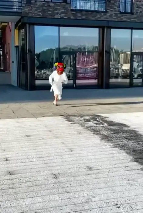 Piñata thumbnail image