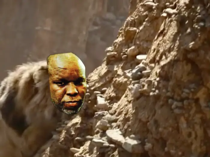 Piñata thumbnail image