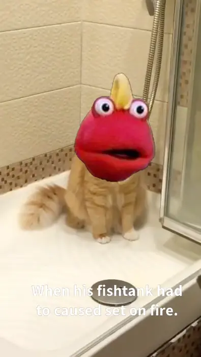 A cat looks at the one point in the shower meme | image tagged in memes | made with Piñata Farms meme generator