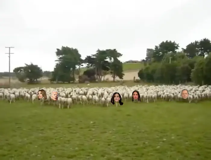 Sheep run to the Caribbean theme meme | image tagged in memes | made with Piñata Farms meme generator