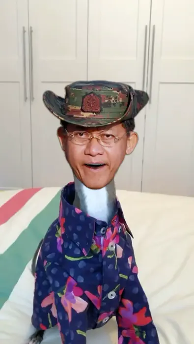 Piñata thumbnail image