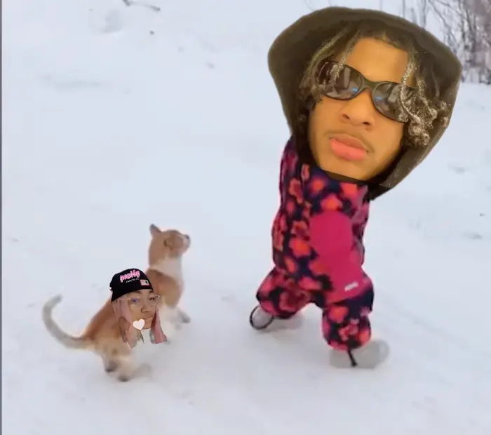 Cat RKO meme | image tagged in memes | made with Piñata Farms meme generator