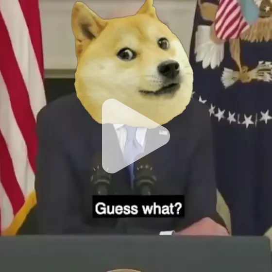 crypto influencers be like... video meme Piñata Farms The best