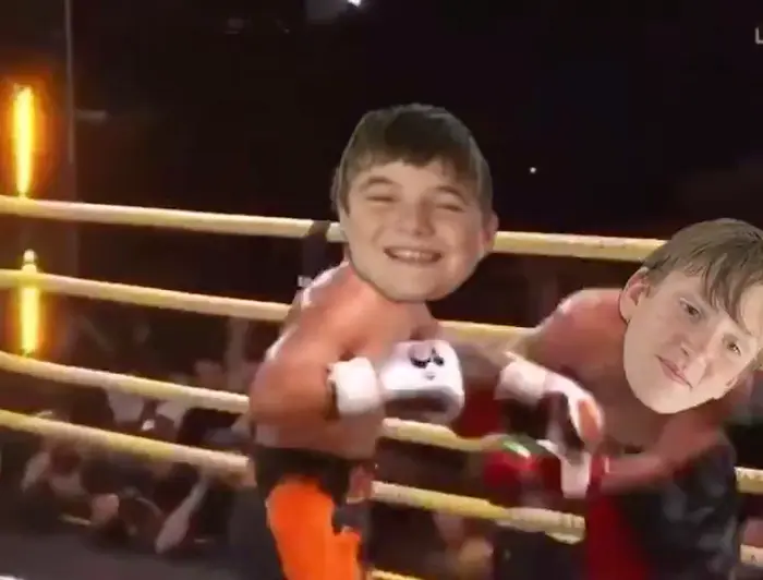 Piñata thumbnail image