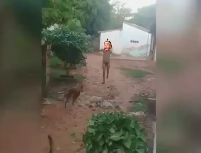 Piñata thumbnail image